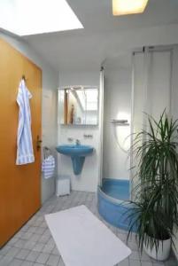 Grünberger superior - 7