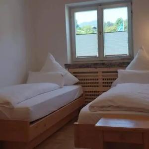 Grünberger superior - 15