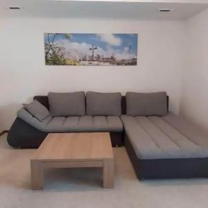 Grünberger superior - 20