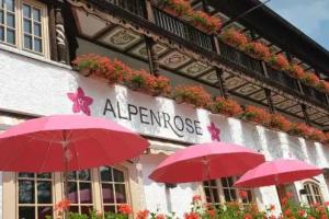 Alpenrose Hotel, Bayrischzell