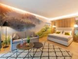 Superior Junior Suite