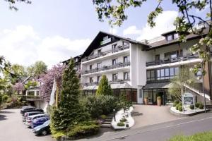 Hotel-Restaurant Birkenhof, Bad Soden-Salmuenster