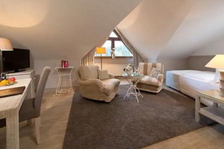 Romantischer Winkel RoLigio & Wellness Resort - 1