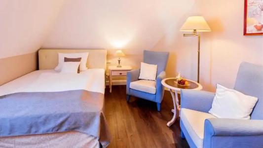 Romantischer Winkel RoLigio & Wellness Resort - 53