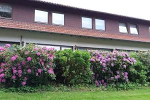 Forsthaus Alter Foerster Mini-hotel, Bad Oeynhausen