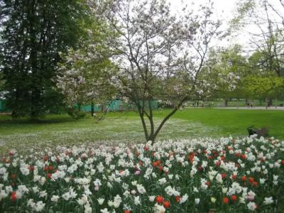 Best Western Rosenau - 25