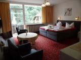 Standard Double Family room