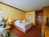 Classic Double room with park view