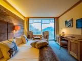 Superior Double room with park view