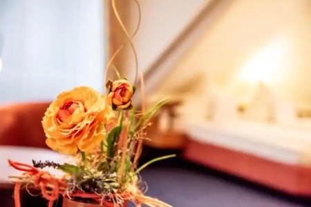 Akzent Atrium Baden - 45