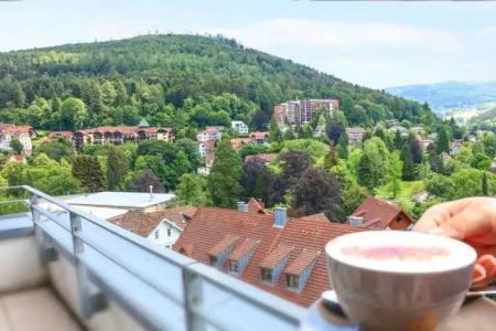 Schwarzwald Panorama - 44