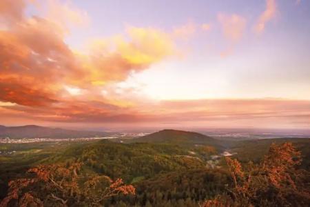 Schwarzwald Panorama - 22