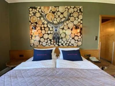 Harz & Spa Seela - 3