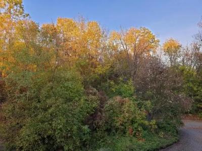 Residenz Bad Frankenhausen - 67