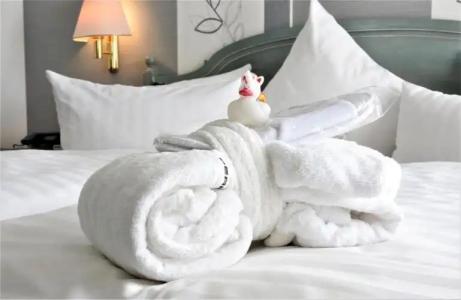 Residenz Bad Frankenhausen - 82