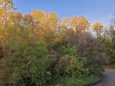 Residenz Bad Frankenhausen - 58