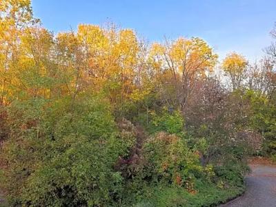 Residenz Bad Frankenhausen - 48