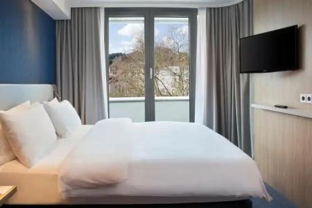 Holiday Inn Express Baden-Baden, an IHG - 30