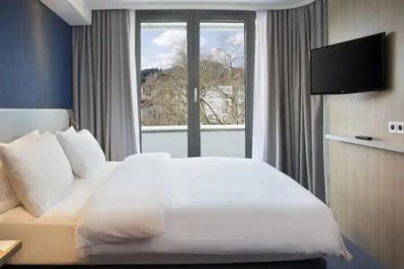 Holiday Inn Express Baden-Baden, an IHG - 52