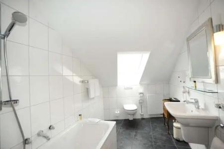 HELIOPARK Bad Zum Hirsch - 9