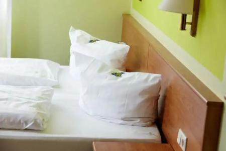 BSW FerienLindenbach - 5