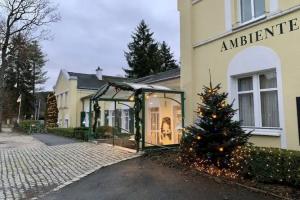 Hotel Quellenpark, Bad Elster