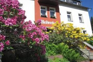 Villa Helvetia, Bad Elster