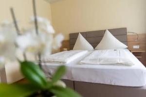 Hotel Bad Durkheim, Bad Durkheim