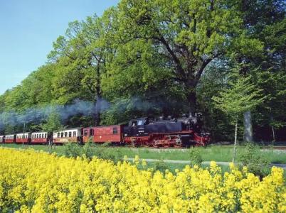 Prinzenpalais Bad Doberan - 18