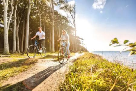 Prinzenpalais Bad Doberan - 21