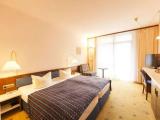 Standard Single room with park view