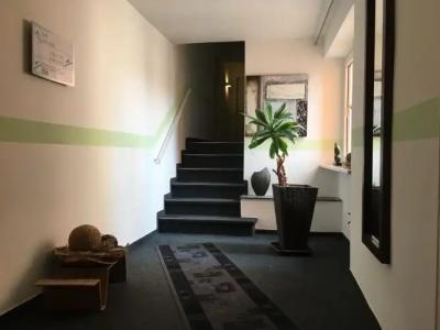 Augsburg Goldener Falke - 13