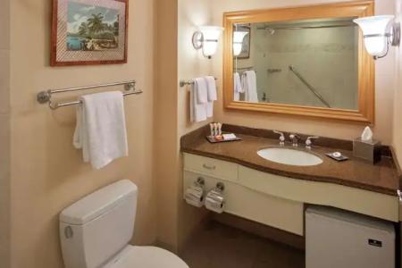 Hilton Hawaiian Village Waikiki Beach Resort - 247