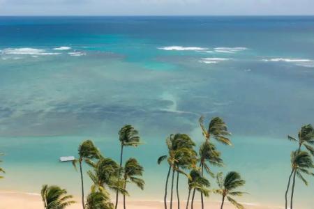 The Kahala and Resort - No Resort Fee - 20