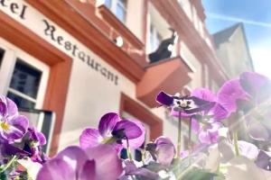 Hotel & Bio Restaurant Schwarzer Bock, Ansbach