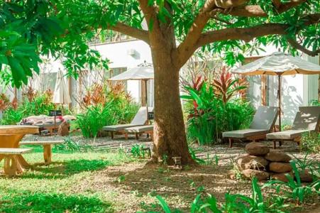 iRoHa Garden & Resort - 240