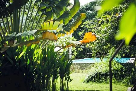 iRoHa Garden & Resort - 231