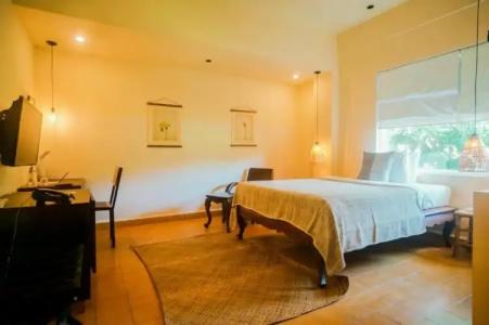 iRoHa Garden & Resort - 131