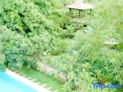 iRoHa Garden & Resort - 161