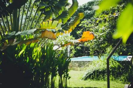 iRoHa Garden & Resort - 253