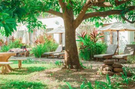 iRoHa Garden & Resort - 220