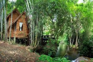 Rabeang Pasak Tree House, Doi Saket