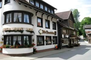 Landhotel Alte Aue, Altenau