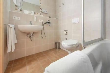 Aalener RömeraWL - 8