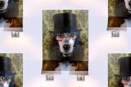 Krone Aachen | City-Eurogress - 36