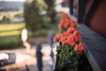 Mittelburg Wellnesshotel - 32