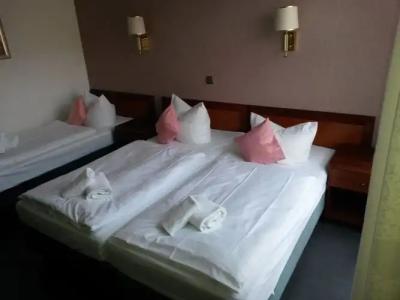 Lieth-Hotel-Grünreich - 5