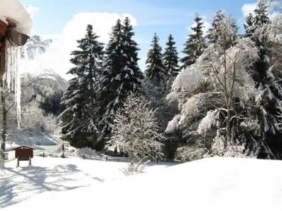 Bio-Zum Forsthaus - 11