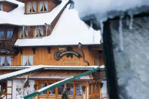 Hotel Tannenmuhle, Grafenhausen