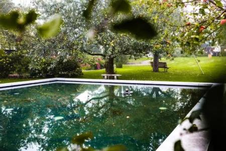 Reck's-Restaurant - 61